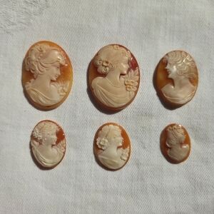 Lot Of 6 Shell Cameos Relief Carvings Unmounted